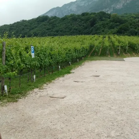 Margone ترينتو