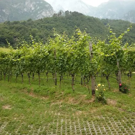Margone * Trento